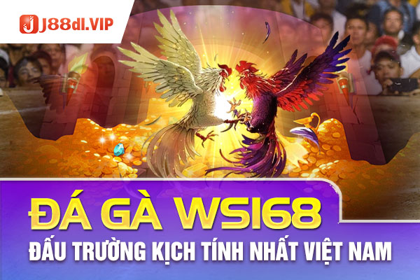 Đá gà WS168 - Đấu trường kịch tính nhất Việt Nam