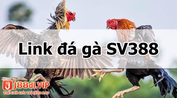Link truy cập đá gà SV388 chính thức