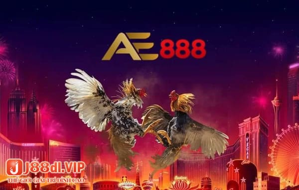 AE88 – Trang Web đá gà trực tuyến uy tín, an toàn